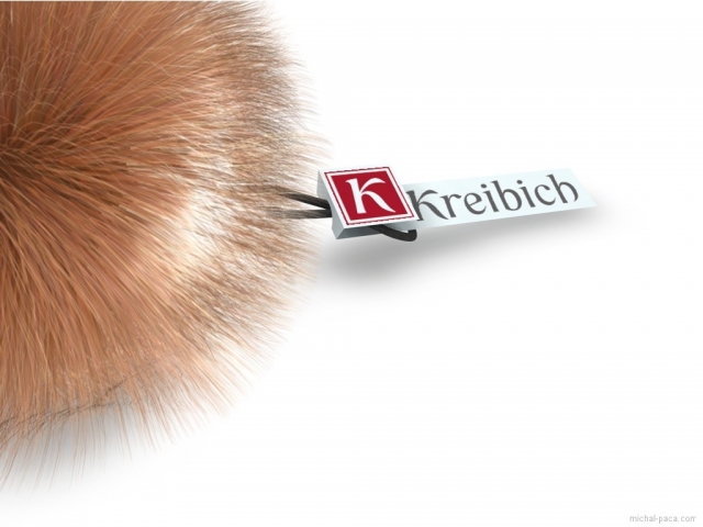 visacka Kreibich_1