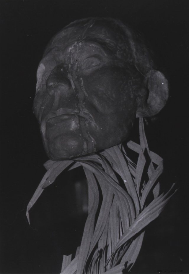 clay head 01
