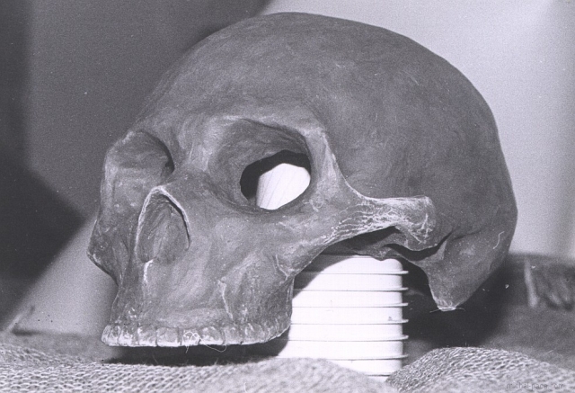 clay skull 01