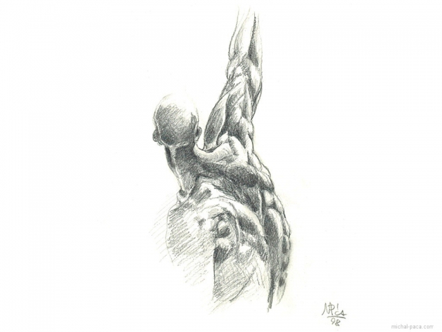 study 03