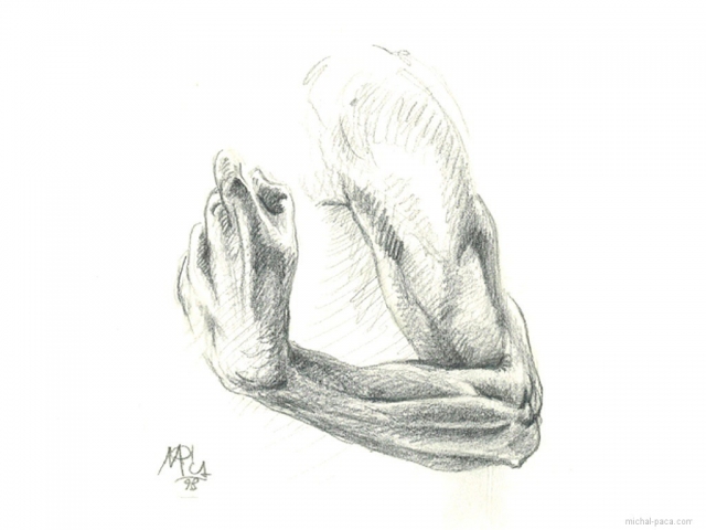 study 04