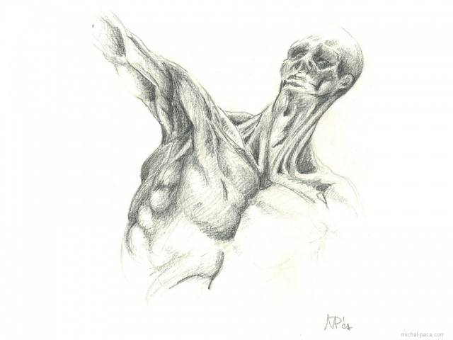 study 07