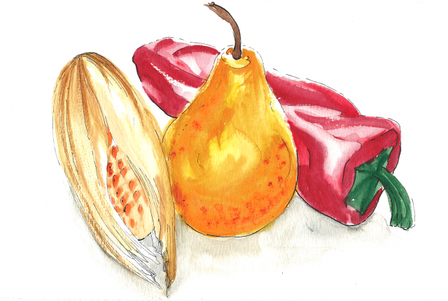 1_still life_m