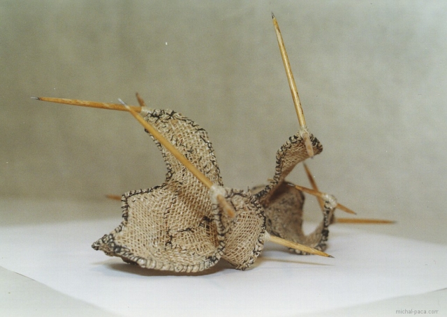 thorns 01