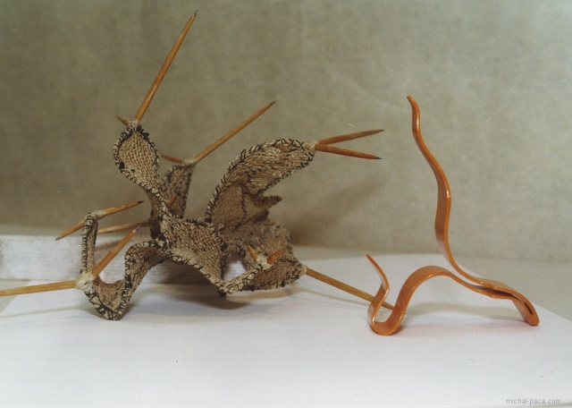 thorns 05